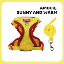 Cat And Dog Universal Vest-Style Pet Harness, Contrast Color Mesh Breathable Reflective Nighttime Adjustable Small Dog And Cat Walking Leash Harness - Multicolor - View 29