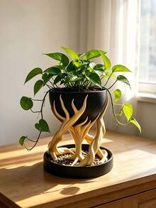 10pcs Resin Tree Root Shaped Flower Pot Stand Decoration High Rack Flower Pot With Drainage Tray Unique Succulent Plant Pot Home Desktop Indoor Plant Decor - Tree Root Shaped Planter - View 4