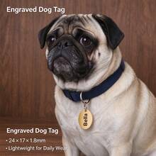 Custom Engraved Pet Name Tag, Personalized Pet ID Tag, Customizable Laser Engraved Metal Pet ID Tag, Suitable For Cats And Dogs, Stainless Steel Lost And Found Pet Tag - Multicolor - View 2