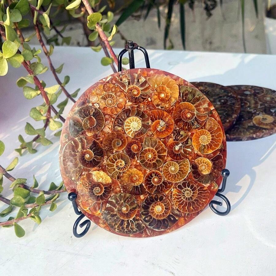 1 Buah Irisan Kuarsa Berbentuk Ammonit yang Indah Secara Acak dengan Alas - Pajangan Batu & Kristal, Dekorasi Meja Rumah, Hadiah untuk Pecinta Kerajinan, Natal - MultiWarna - View 1