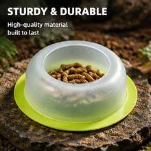 1pc/2pcs Pet Anti-Escape Feeding Bowl, Suitable For Bearded Dragon And Lizard, Transparent Feeding Bowl Random Color - Multicolor - View 6