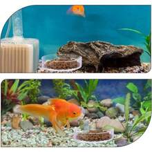 2pcs Glass Fish Tank Feeding Dish, Round Transparent Aquarium Feeding Bowl 60mm, Shrimp Tank Feeding Tray Anti-Spill Design, Convenient Concentrated Feeding, Easy To Clean, Suitable For Ornamental Shrimp, Small Fish, Betta Fish, Reptile Enclosure - Clear - View 6