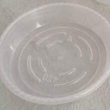 Organizador de cosméticos transparente para escritorio, estante de almacenamiento de cosméticos, almacenamiento de cosméticos, almacenamiento de joyas, estante de almacenamiento de joyas, adecuado para vacaciones en la playa, baño - transparente - Ver 11