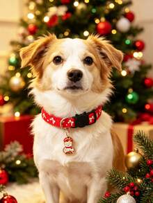 Christmas Cat Collar, Adjustable Kitten/Puppy Collar With Cute Christmas Decorations And Bell, Pet Holiday Costume Accessory, Suitable For Small Cats And Dogs, Christmas Gift - Multicolor - View 15