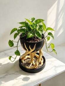 1pc Tree Root Shaped Resin Planter Stand, Decorative Elevated Plant Stand With Drainage Tray, Unique Succulent Planter Pot For Home Desktop Indoor Plant Decor - Multicolor - View 8