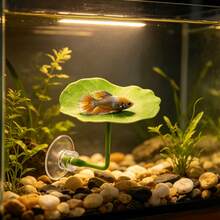 4pcs/Set Artificial Lotus Leaf Aquatic Plant Bed, Fish Hiding Chair, Realistic Water Plant Leaf Decoration For Aquarium Landscape, Best Gift For Pets, Pet Supplies - Happy Aquarium - View 5