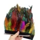 Colorful a