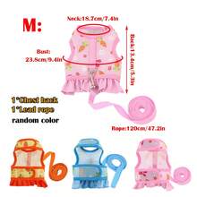 Carrot Style Rabbit Harness Set, Guinea Pig & Cat Walking Harness, Outdoor Cat Leash, Pet Outfit, Random Color - Multicolor - View 13