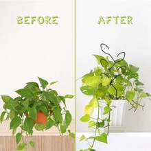 2/1pc Creative Plant Climbing Trellis Rack, Potted Plant Flower Support ...