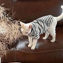 1PC Red Pet Stripe T-Shirt And Hat Fashionable And Comfortable Spring And Autumn Cat And Dog Clothes Suitable For Teddy Poodle And Other Small And Medium Sized Pets - Black and White - View 11