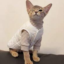 2pcs Pet Set, Cat Autumn/Winter Warm Outfit, Home Anti-Cold Daily Wear, German Cat Abby Kitten Small Pet Vest + Striped High Neck Skin-Friendly Base Layer - White - View 5
