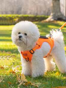 Reflective Adjustable Dog Harness And Leash Set, Breathable Mesh Pet Vest With Padded Handle Dog Lead, Suitable For Comfortable Outdoor Walks - Multicolor - View 3