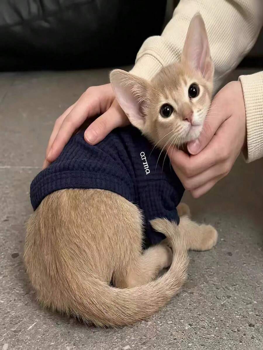 1pc Pet Supplies, Fashionable Pet Clothing, Soft Waffle Knit Shirts, Breathable Pet Daily Home Clothes, Suitable For Cats And Dogs - Multicolor - View 1