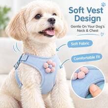 Floral Dog Harness And Leash Set, Soft Vest Harness For Small To Medium Dogs, Cute Flower Design For Daily Walking - Multicolor - View 4