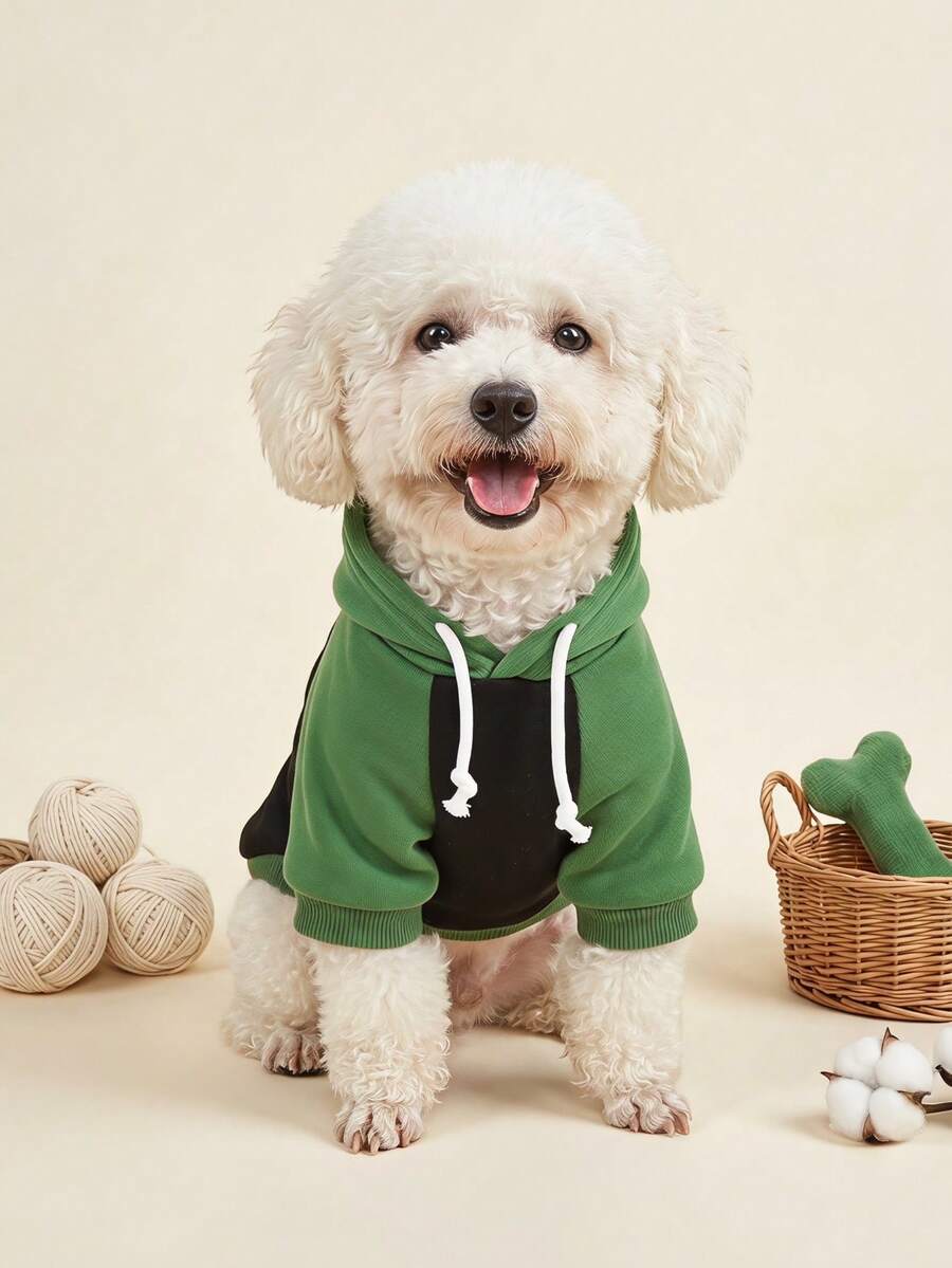 PETSIN 1pc Colorblock Hooded Dog Sweatshirt, American-Style Raglan Contrast Design, Loose Comfortable Cat Clothing For Energetic, Photogenic Outings - Multicolor - View 1