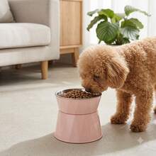 1 Set Non-Slip Stainless Steel Pet Bowl With Raised Stand To Protect Neck, Tilted Design To Prevent Spillage And Bloating, Suitable For Cats And Dogs, Comfortable Height To Promote Healthy Eating - 500ml - View 3