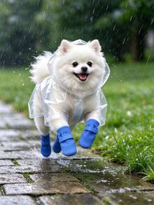 4pcs Random Style Waterproof Pet Dog Shoes, Anti-Slip Soft Sole Scratch-Resistant Washable Reusable Durable Paw Protectors, Suitable For Bichon, Corgi And Other Small To Medium Dogs, For Rainy, Snowy, Hot Road Outdoor Use - Multicolor - View 6