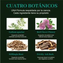 Plant Extracts - Drei Flaschen – Noch günstigerer Preis - Übersicht 6