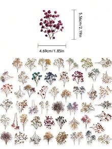 50/100PCS Dried Flower Collection PET Stickers, Decorative Decals For Laptops, Phones, Water Bottles, Helmets, Luggage, Diaries, Scrapbooks And Journals - Flowers - View 2