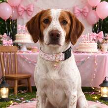 Cute Dog Collar With Bow Tie Pendant, Adjustable Soft Sweet Bow Print Pet Collar, Suitable For Small, Medium And Large Dogs - Baby Pink - View 1