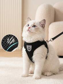 PETSIN 1pc Adjustable Cat/Dog Harness & Leash Set, 125cm Leash, Breathable Mesh Escape-Proof Vest, Collar Alternative, Travel Essentials, Great Gift - Grey - View 1