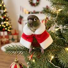 1 Set Cute Christmas Cape, Warm Windproof Outdoor Coat For Small Pets, Hamsters And Parrots, Suitable For Winter Walks, Includes Grooming Brush Set, Cozy Holiday Outfit - Multicolor - View 5