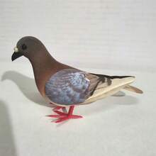 1pc Realistic Gray Pigeon Dove Figurine, Square Shaped Fake Pigeon, Photography Garden Decor, Foam Material Home Accessory - Multicolor - View 16