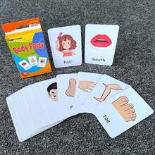 36pcs Reusable Early Learning Flashcards Set, Includes Body Parts Theme, Thick Laminated, Suitable For Classroom And Home Education, Back To School - Red - View 5