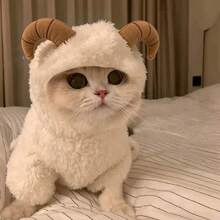 1 bộ trang phục cosplay thú cưng có mũ hình cừu hoạt hình, đồ hóa trang Halloween, lông cừu dày ấm cho thú cưng 2 chân, phù hợp cho mèo con và chó con vào mùa thu và mùa đông - trắng - Xem 2