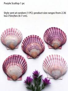 逼真扇貝殼大包裝，白色人造貝殼 DIY 手作材料，海灘婚禮裝飾，海岸居家裝飾，海洋主題派對小禮品，聖誕節、新年、情人節、婚禮、齋月禮物 - 多色 - 查看 23