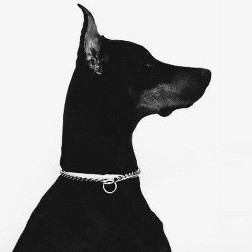 Sea King Men's Clothing