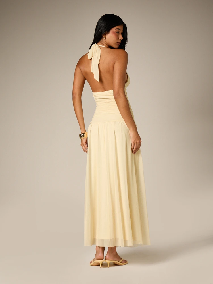 AiiRZ Halter Neck Ruched Maxi Dress With V Neckline