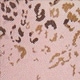 Nhiều màu