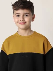 SUMWON Boys Color Block Short Sleeve Crew Neck T-Shirt And Shorts Co-Ord Set With Contrast Panel - Black - View 5