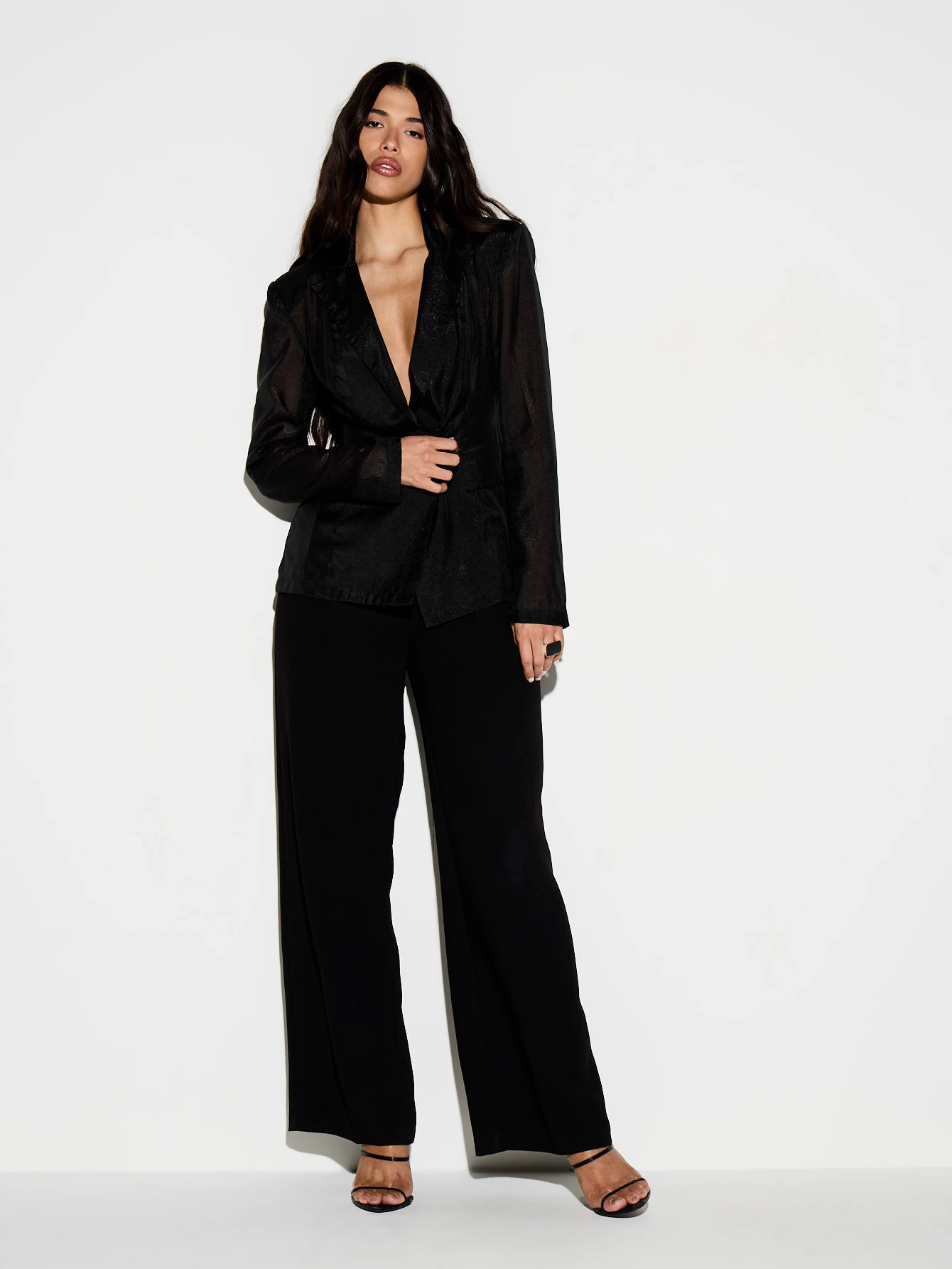 KIZN Sheer Oversized Black Blazer With Button Closure