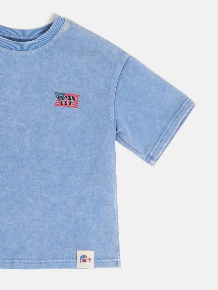 Camiseta Masculina Lavada de Tripulação com Gráfico da Bandeira dos EUA na Parte de Trás, Estilo Vintage, Quarto de Julho