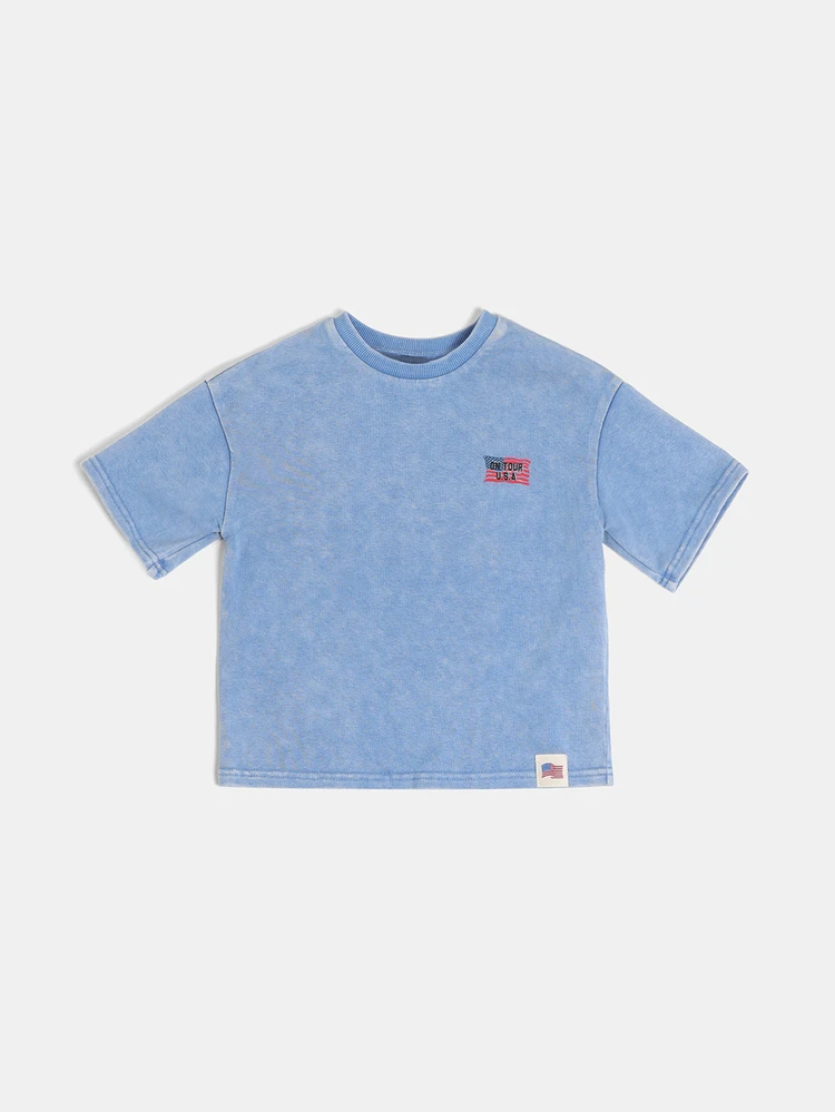 Camiseta Masculina Lavada de Tripulação com Gráfico da Bandeira dos EUA na Parte de Trás, Estilo Vintage, Quarto de Julho