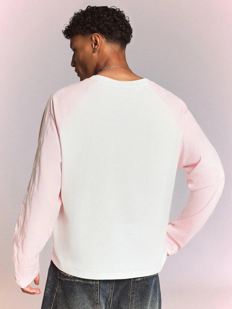 Long Sleeve Raglan Tee With Sleeve Embroidery Color Block V-Neck Regular Fit Casual Top