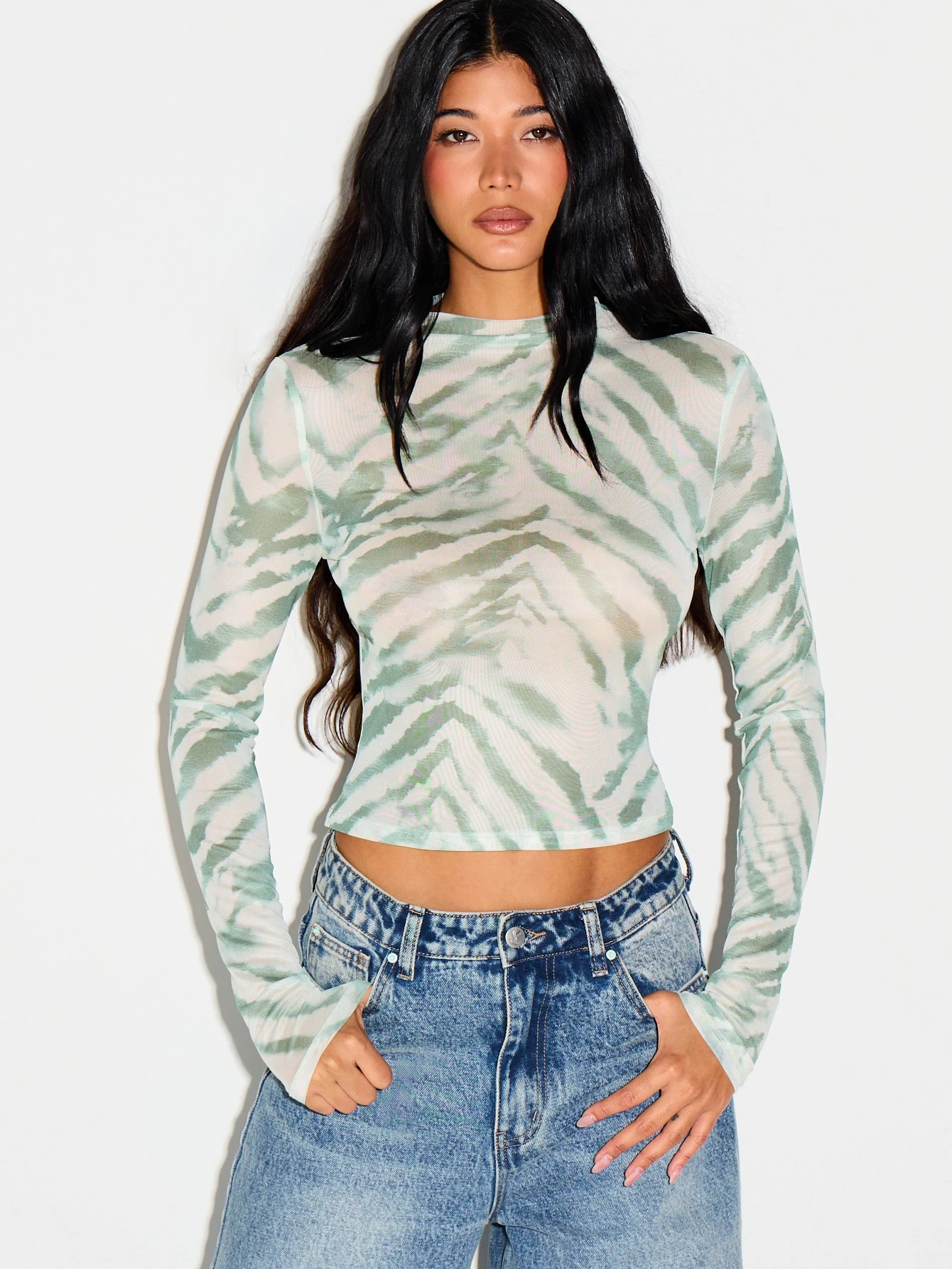Tiger Print Mesh Crop Top With Long Sleeves