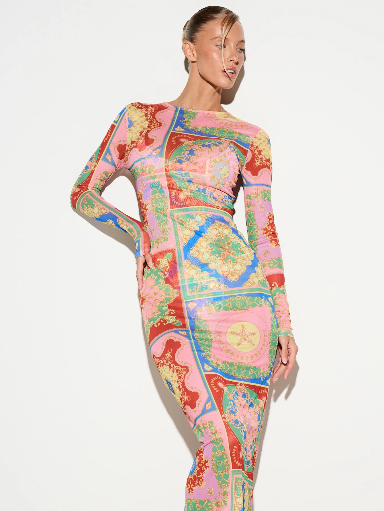 Long Sleeve Baroque Print Mesh Maxi Dress