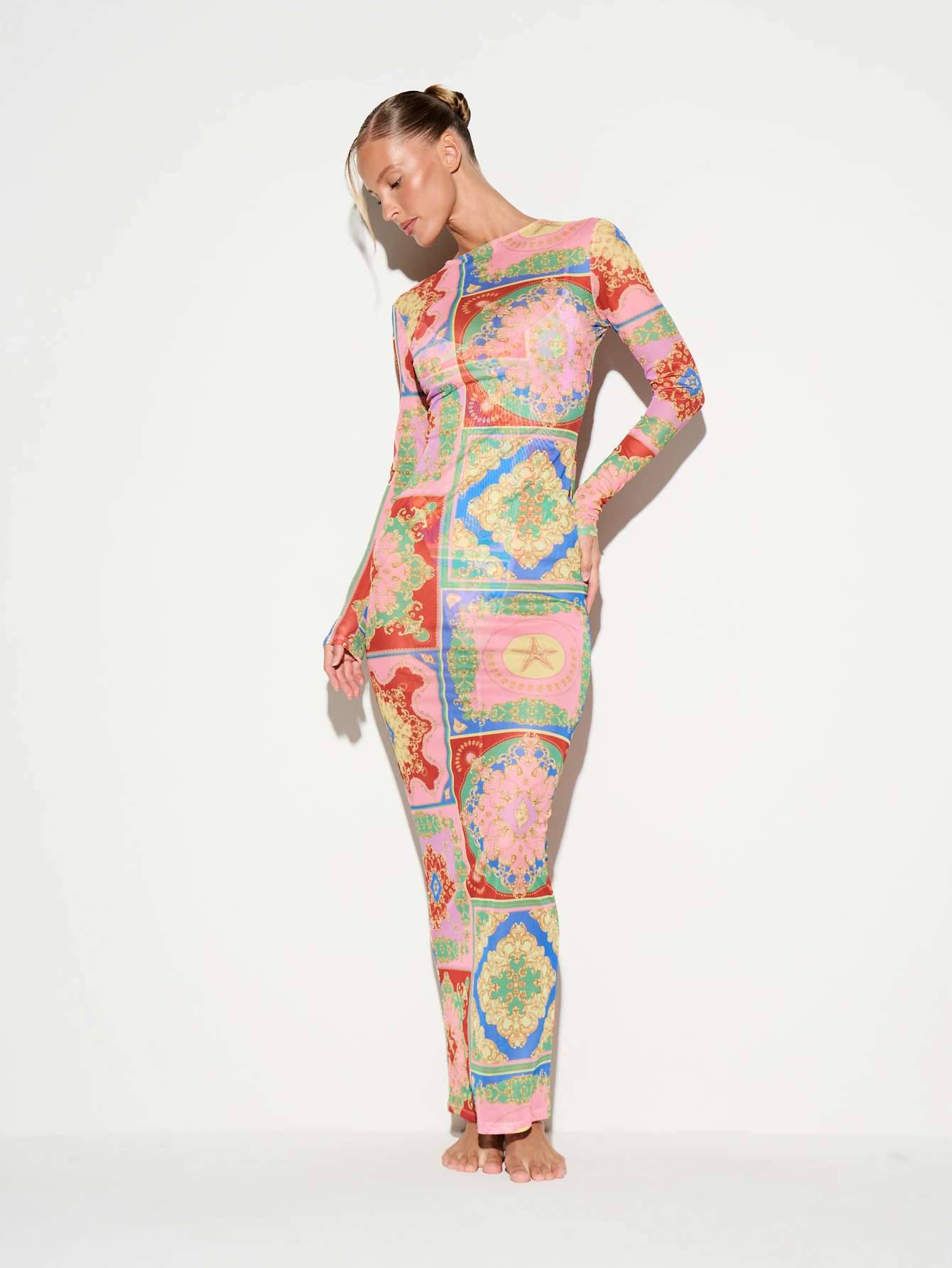 Long Sleeve Baroque Print Mesh Maxi Dress
