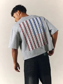 PLAYBOY X SUMWON Bunny Cropped Boxy Fit T-Shirt With Chest Logo And Patriotic Flag Print Back - Grey - View 1