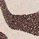 Multicolor