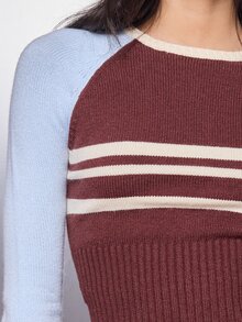 MISSGUIDED Color Block Raglan Long Sleeve Crop Sweater Knit Top With Crew Neck And Contrast Stripe Detail - Multicolor - View 5