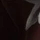 Marrom