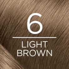 L'Oreal 卓越三重保护永久染发剂 6 浅棕色 1 套 - 6 Light Brown - 查看 6