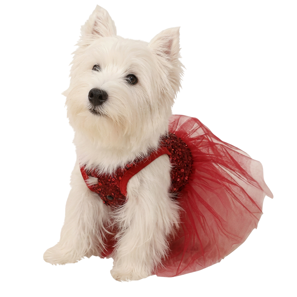 Pet Supplies 