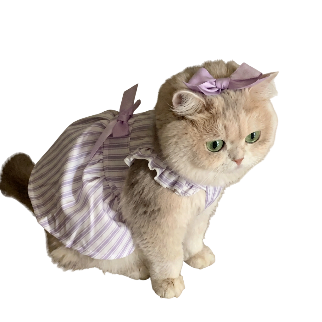 Pet Supplies