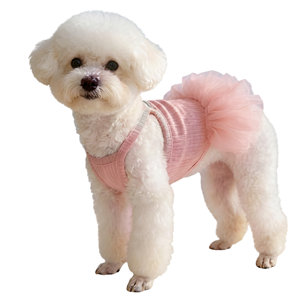 Pet Supplies 