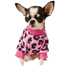 Pet Supplies 